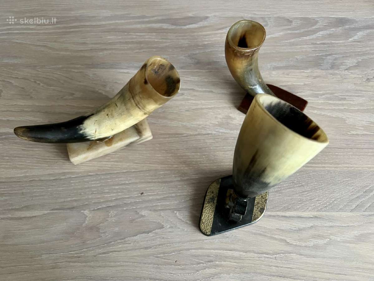 Bizono ragu kolekcija, pakaba is rago - nuotraukos Nr. 4