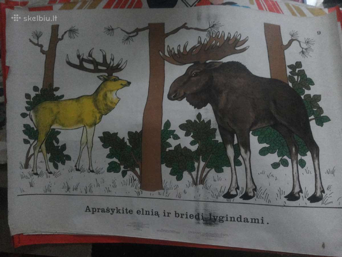Plakatai - nuotraukos Nr. 3