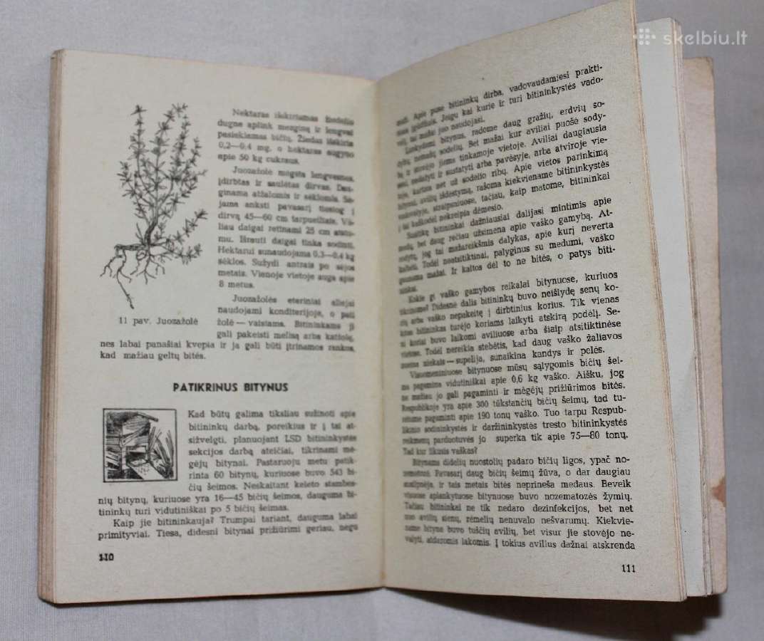 Bitininko mėgėjo žinynas 1977-1978 m. - nuotraukos Nr. 4