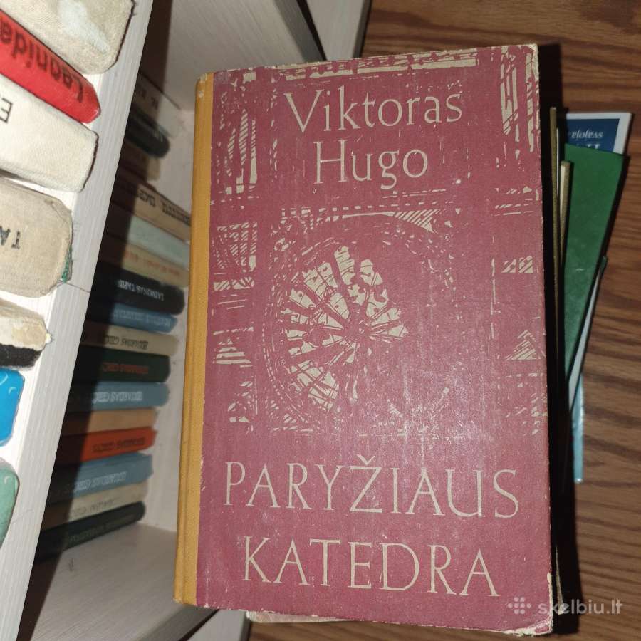 Paryžiaus Katedra ir studijuojantiems Politologiją