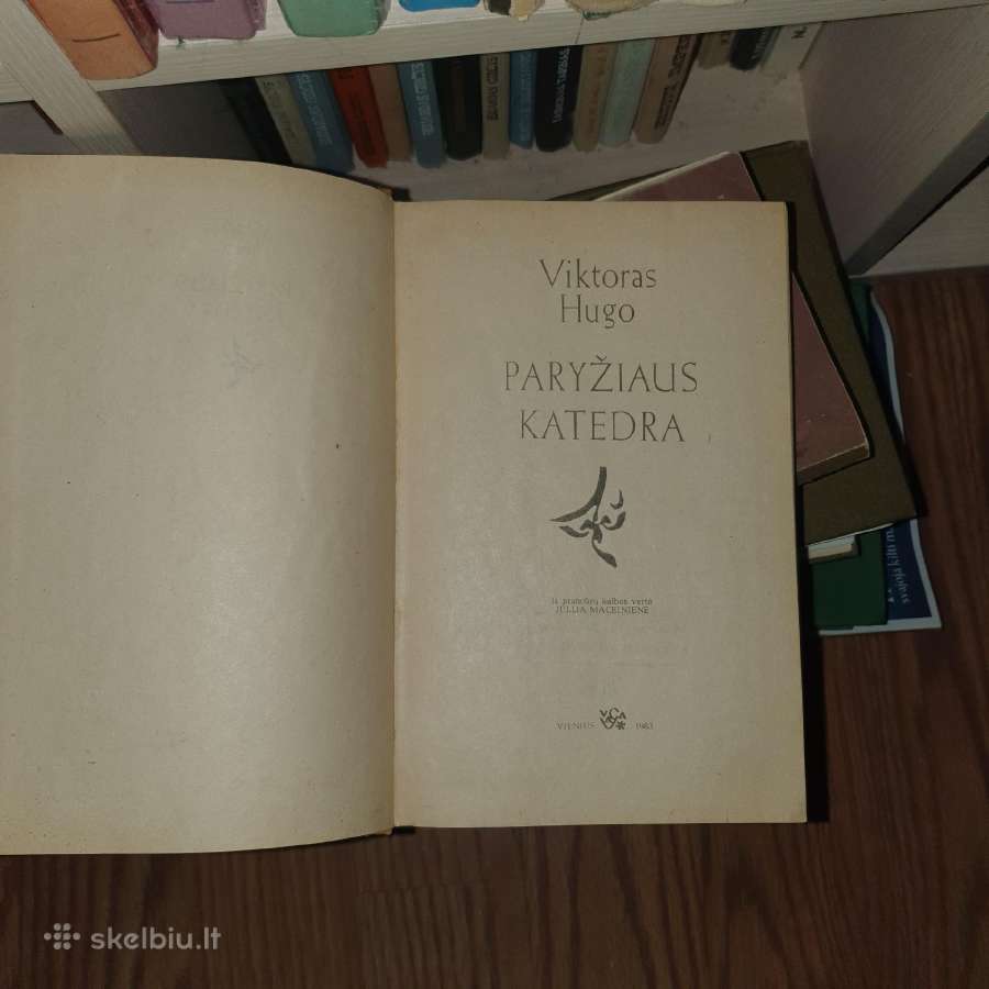 Paryžiaus Katedra ir studijuojantiems Politologiją - nuotraukos Nr. 2