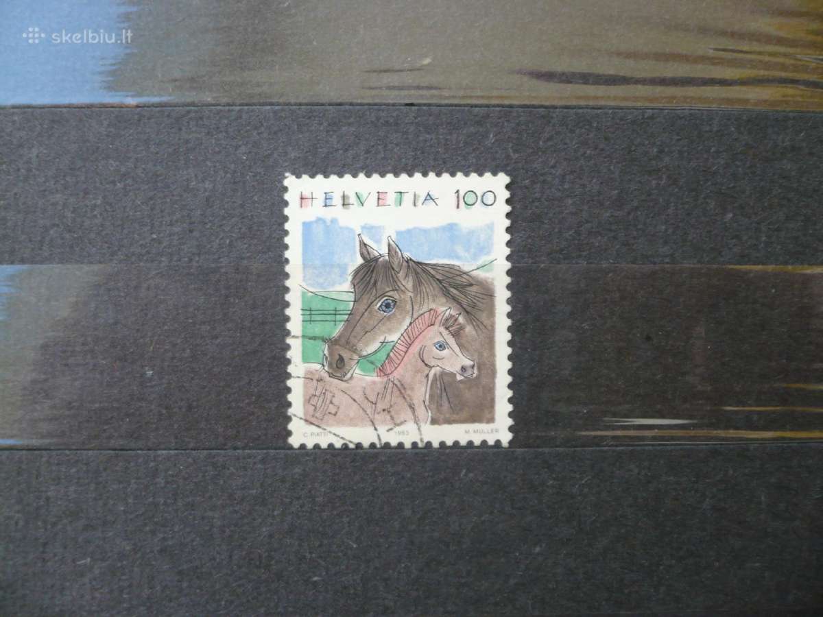 1993 m. galutiniai klausimai