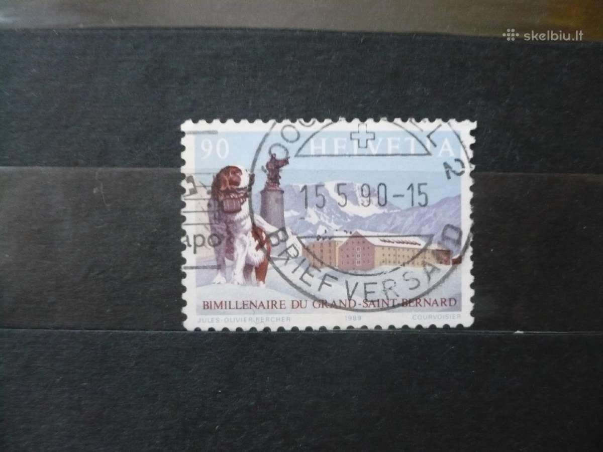 1989 Didžioji Sent Bernardo perėja