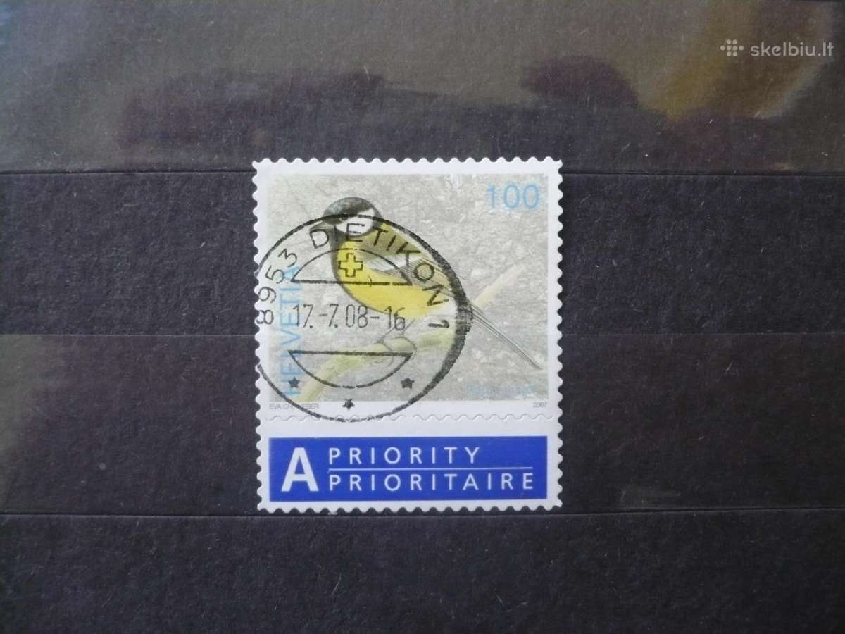 2007 m. paukščiai - Parus major