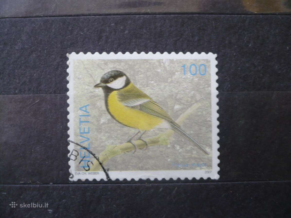 2007 Paukščiai – Parus major