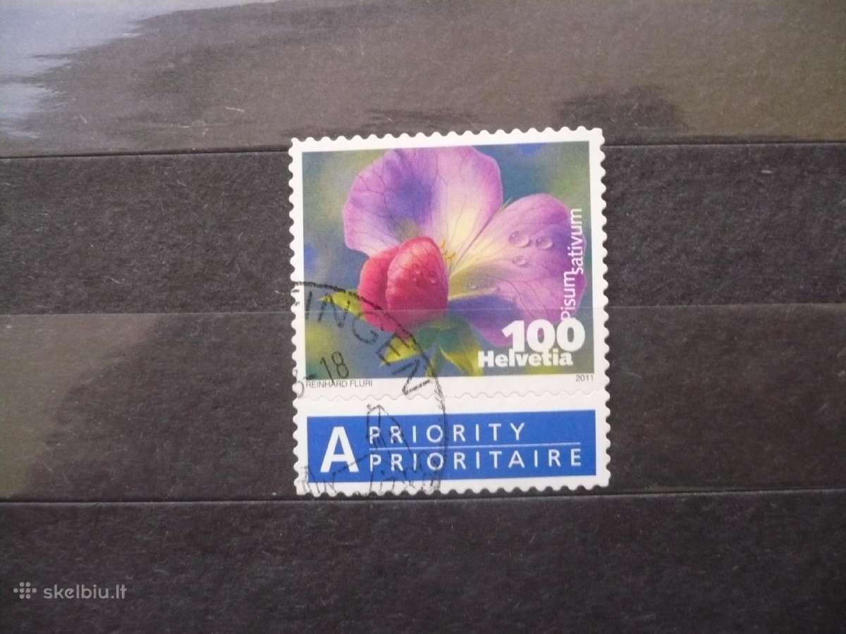 2011 m. Flora – žydintys augalai – Pisum sativum