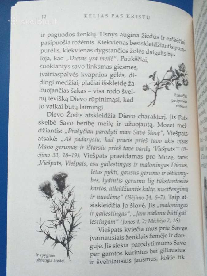 Elena Vait. Kelias pas Kristų (2019) - nuotraukos Nr. 2