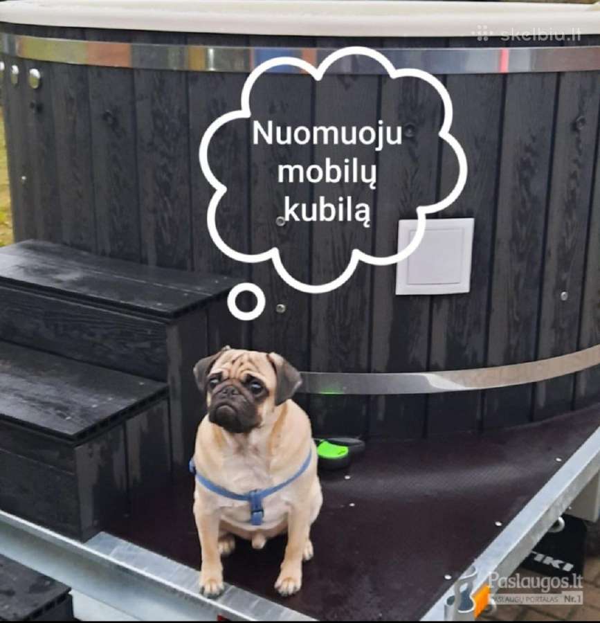 Kubilo nuoma! Kaunas, Kauno raj.