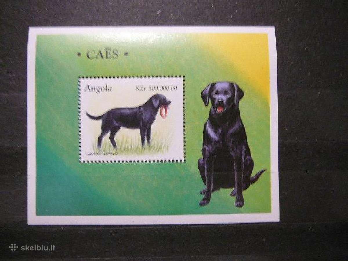 Sunys Angola 1998 agn1210