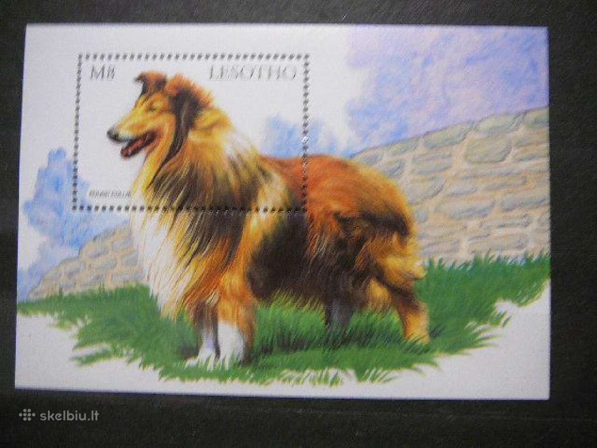 Sunys Lesotas 1999 les1458