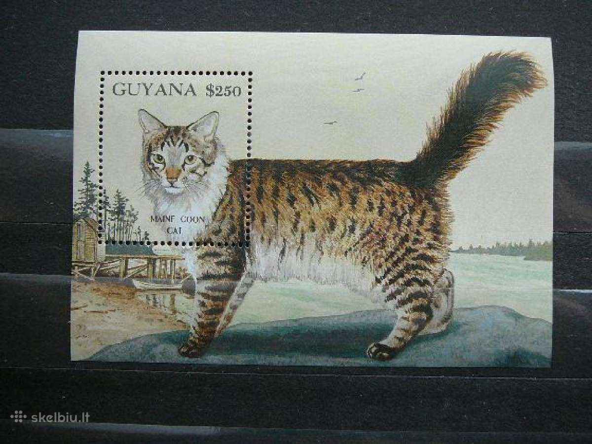 Kates Gajana 1992 gjn383s