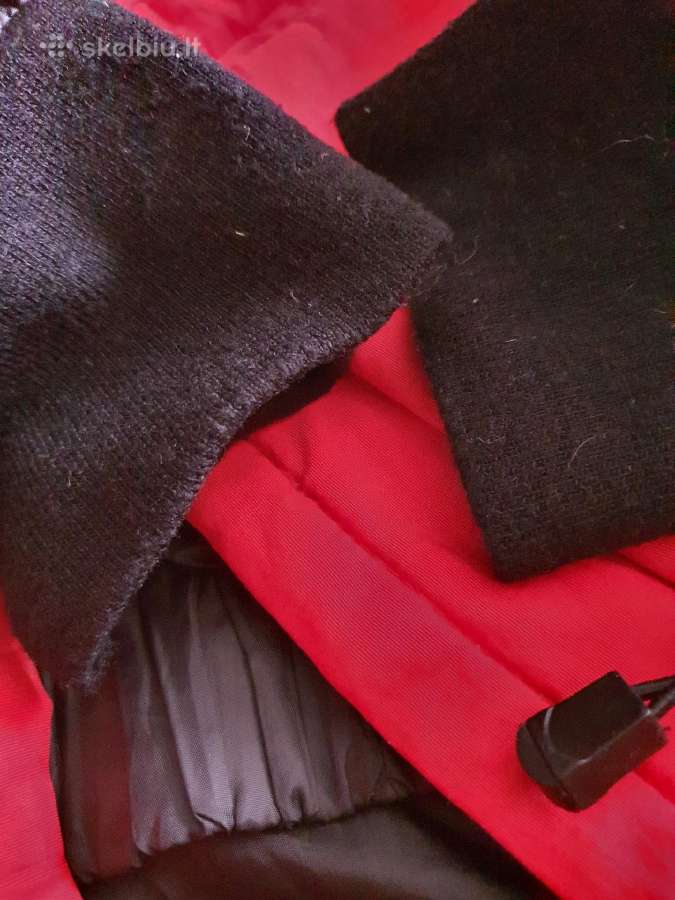 Canada goose pukine striuke s dydis - nuotraukos Nr. 8