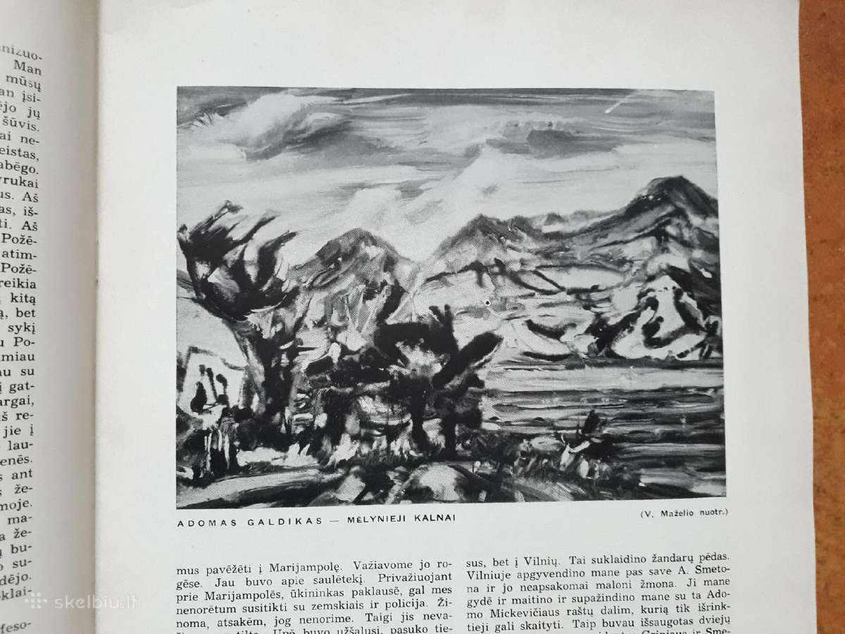 Literatūros ir meno žurnalas "Aidai" JAV 1956m. - nuotraukos Nr. 10