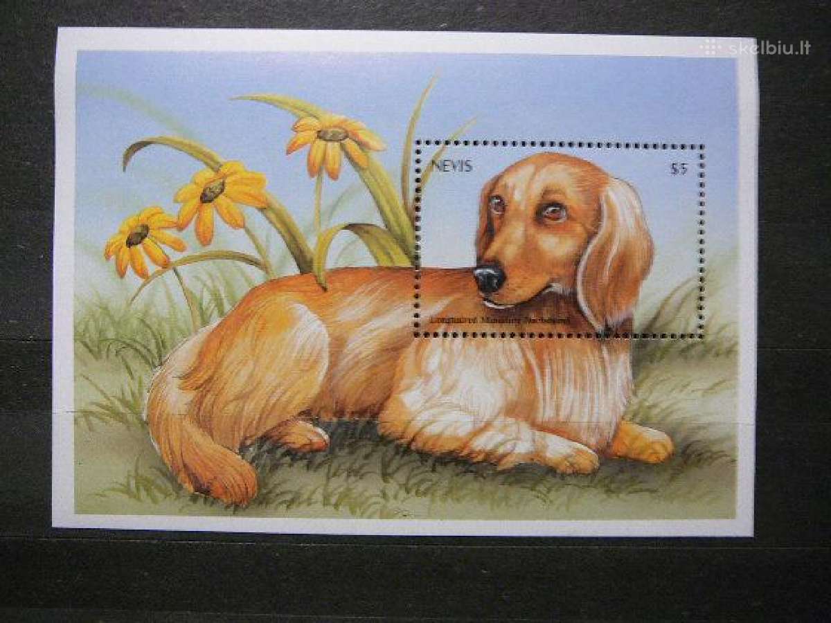 Sunys Nevis 2000 Mnh nv1537