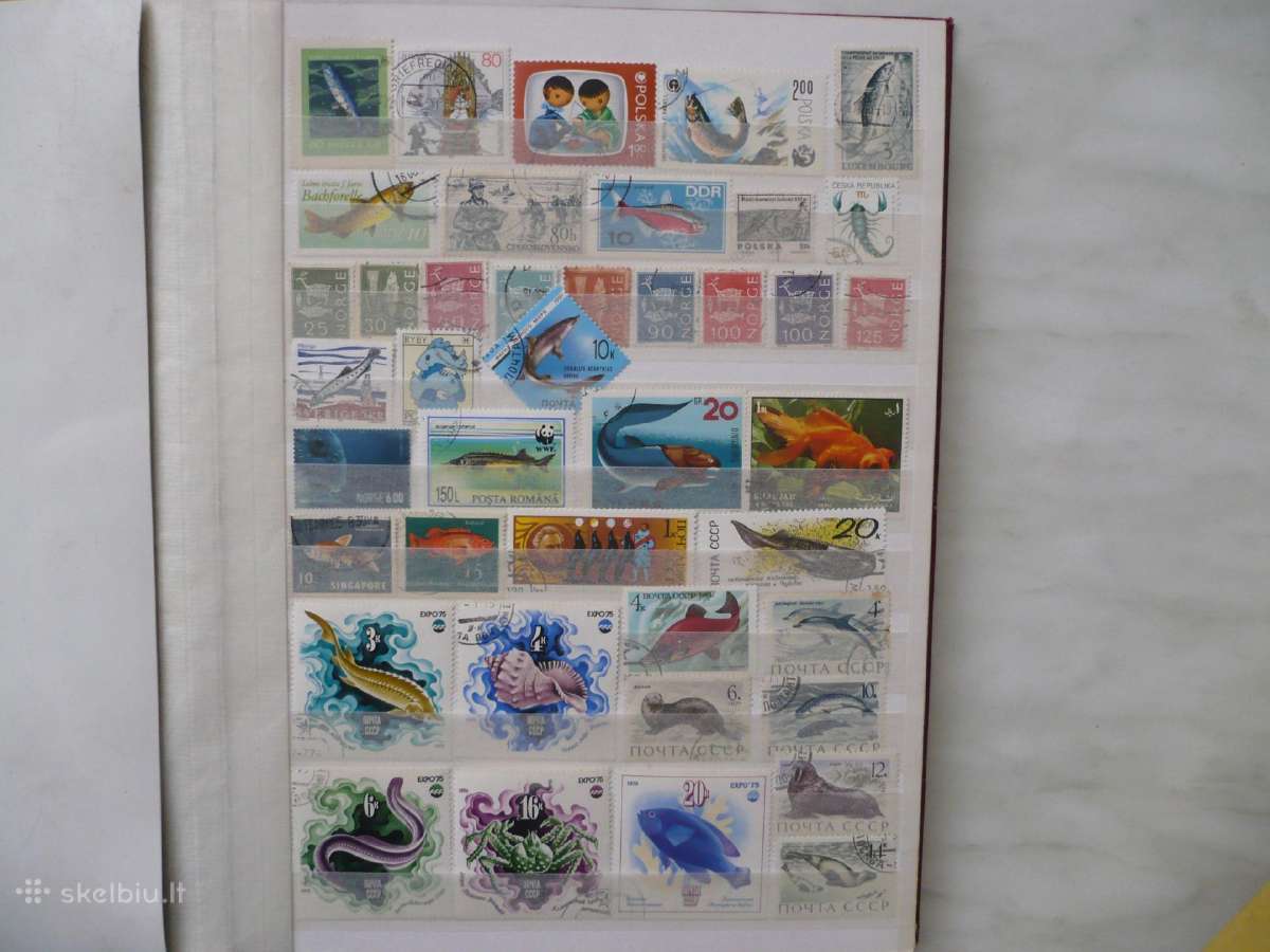 Tema - Vandens gyvūnai 75 vnt. Pasirinkimas