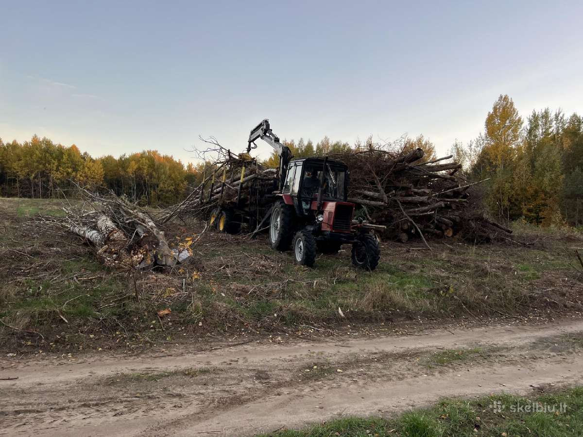 Apleistų sklypų tvarkymas,brangiai perkame biokurą - nuotraukos Nr. 9