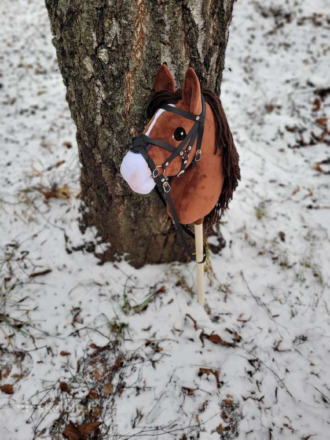Hobby horse žaisliniai arkliukai - nuotraukos Nr. 3