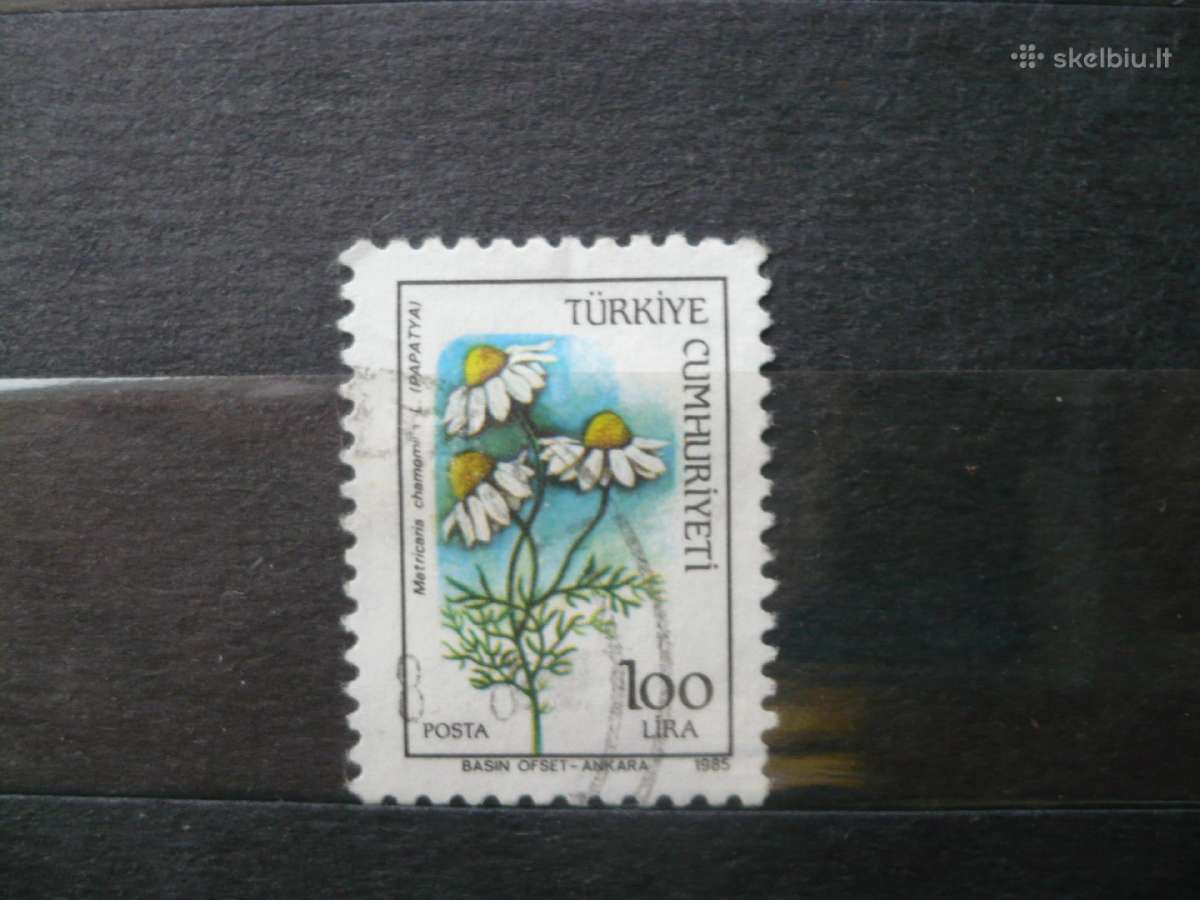 1985 gėlė