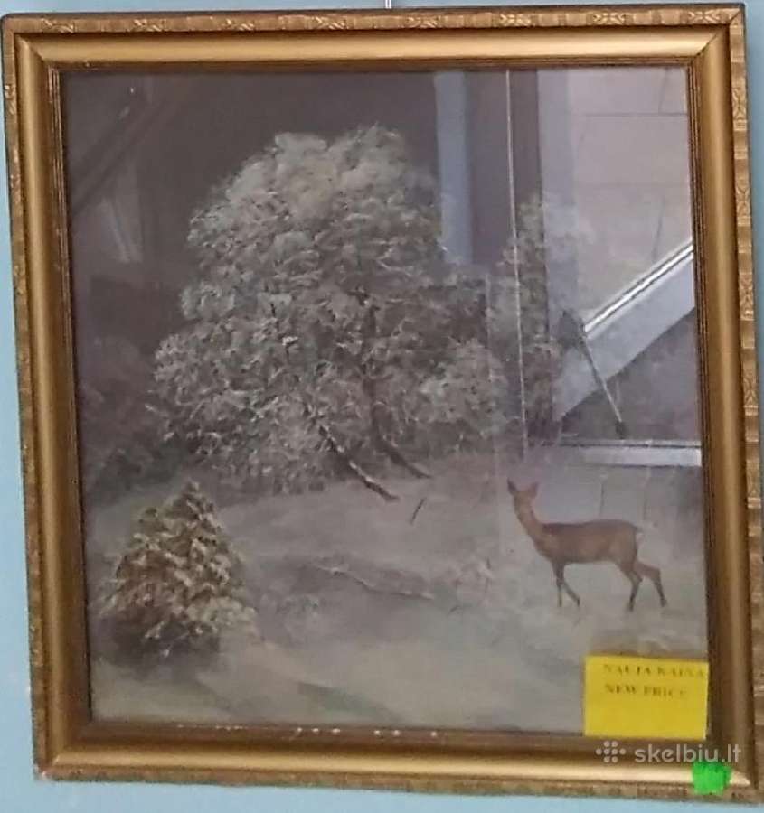 L. Tomasevic. Su stirna žiema miške.