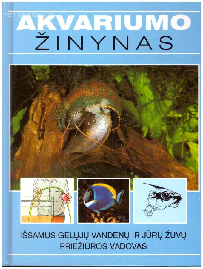 Knyga Žymiausios pasaulio mįslės - nuotraukos Nr. 2