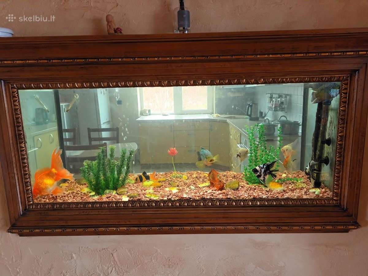Akvariumas Juwell 340 litrų