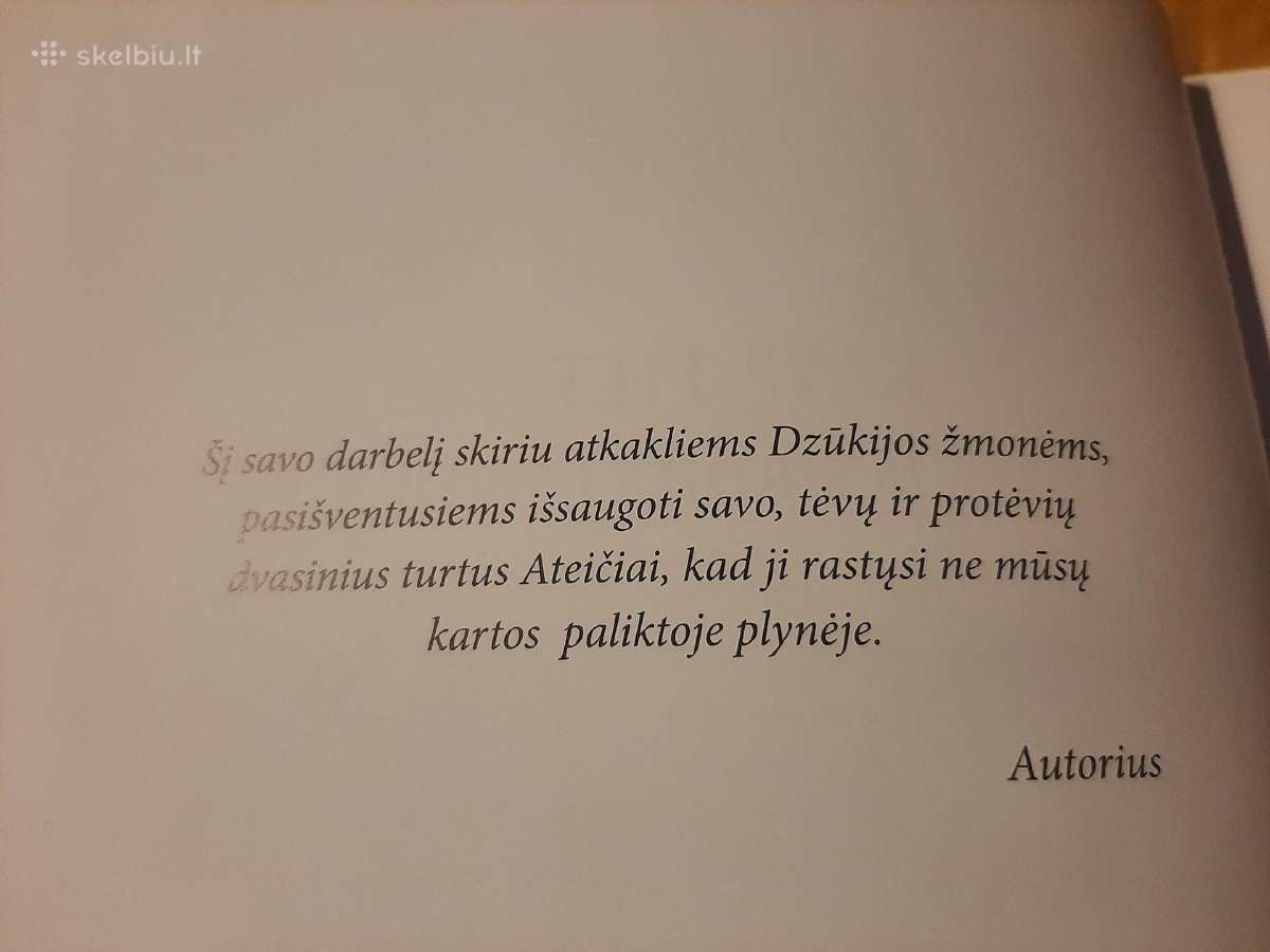 Kaip tiltelis iš širdies į širdį - nuotraukos Nr. 3