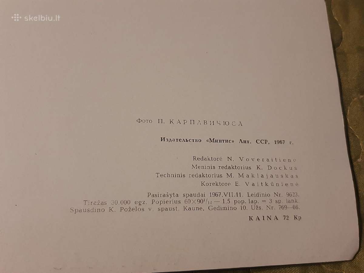 Gintarinis pajūris - nuotraukos Nr. 9