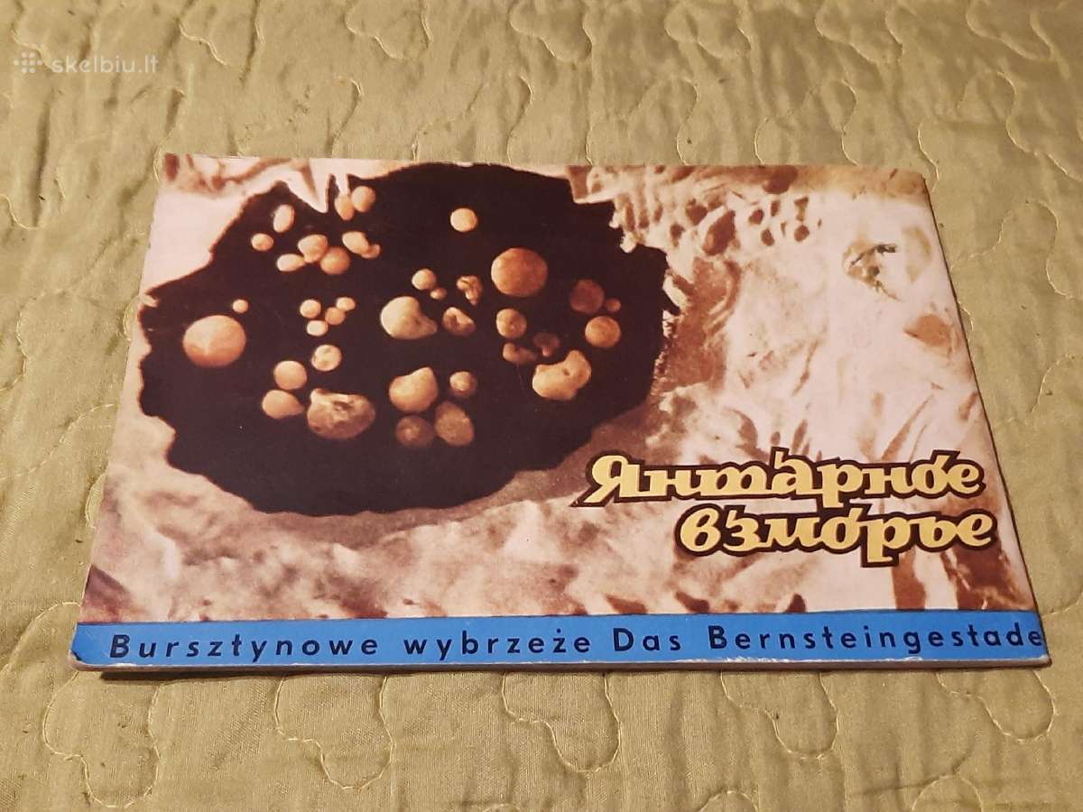 Gintarinis pajūris - nuotraukos Nr. 10