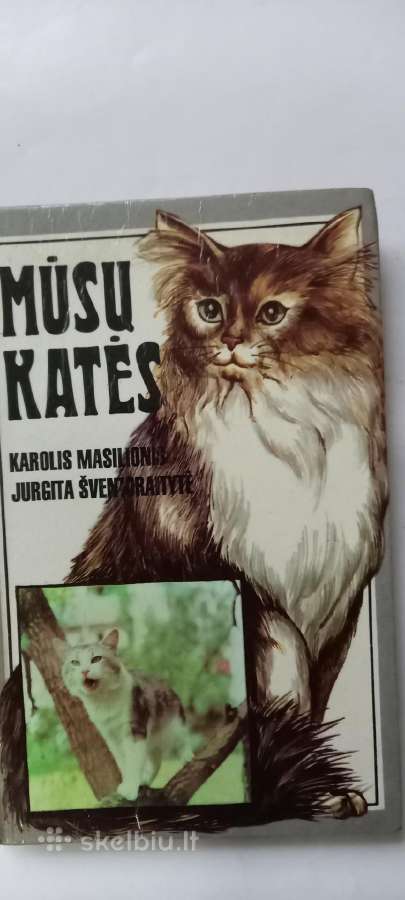 Knyga