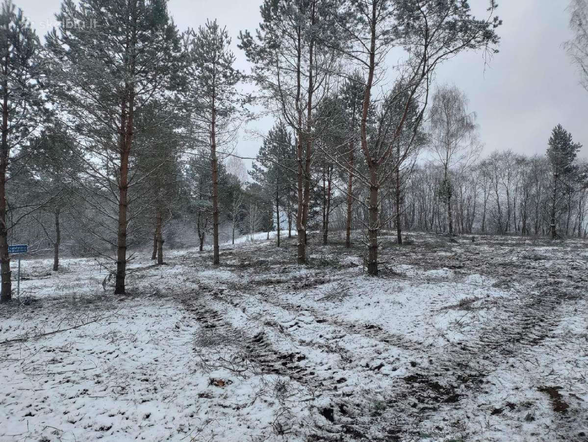 Apleistų sklypų tvarkymas.sodo sklypų valymas - nuotraukos Nr. 8
