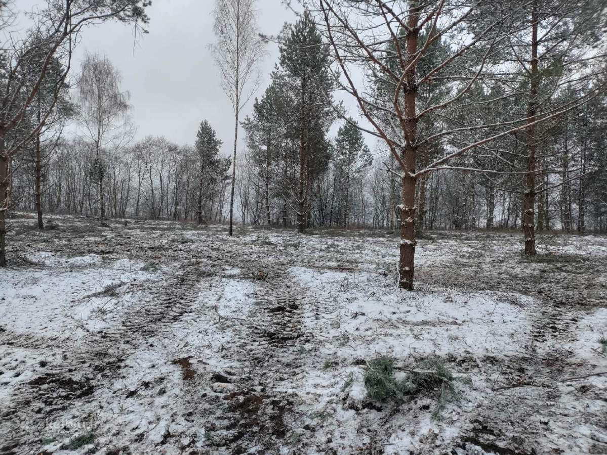 Apleistų sklypų tvarkymas.sodo sklypų valymas - nuotraukos Nr. 9