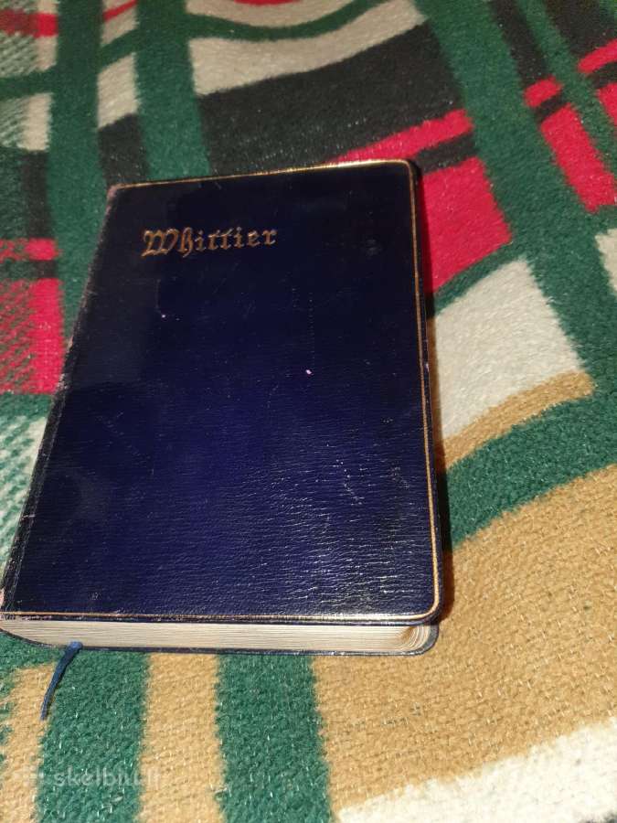 1898 metų knyga (Auksuoti puslapiai)