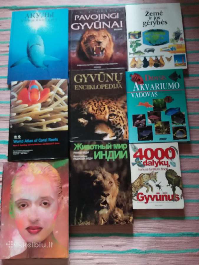 Laiko Patikrintos Idėjos Ir Patarimai - nuotraukos Nr. 13