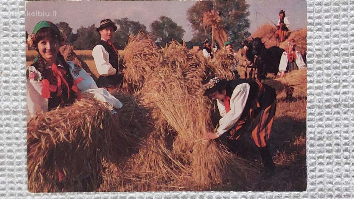Lenkiški atvirukai - Lenkiškos vestuvės .Parduodu - nuotraukos Nr. 10