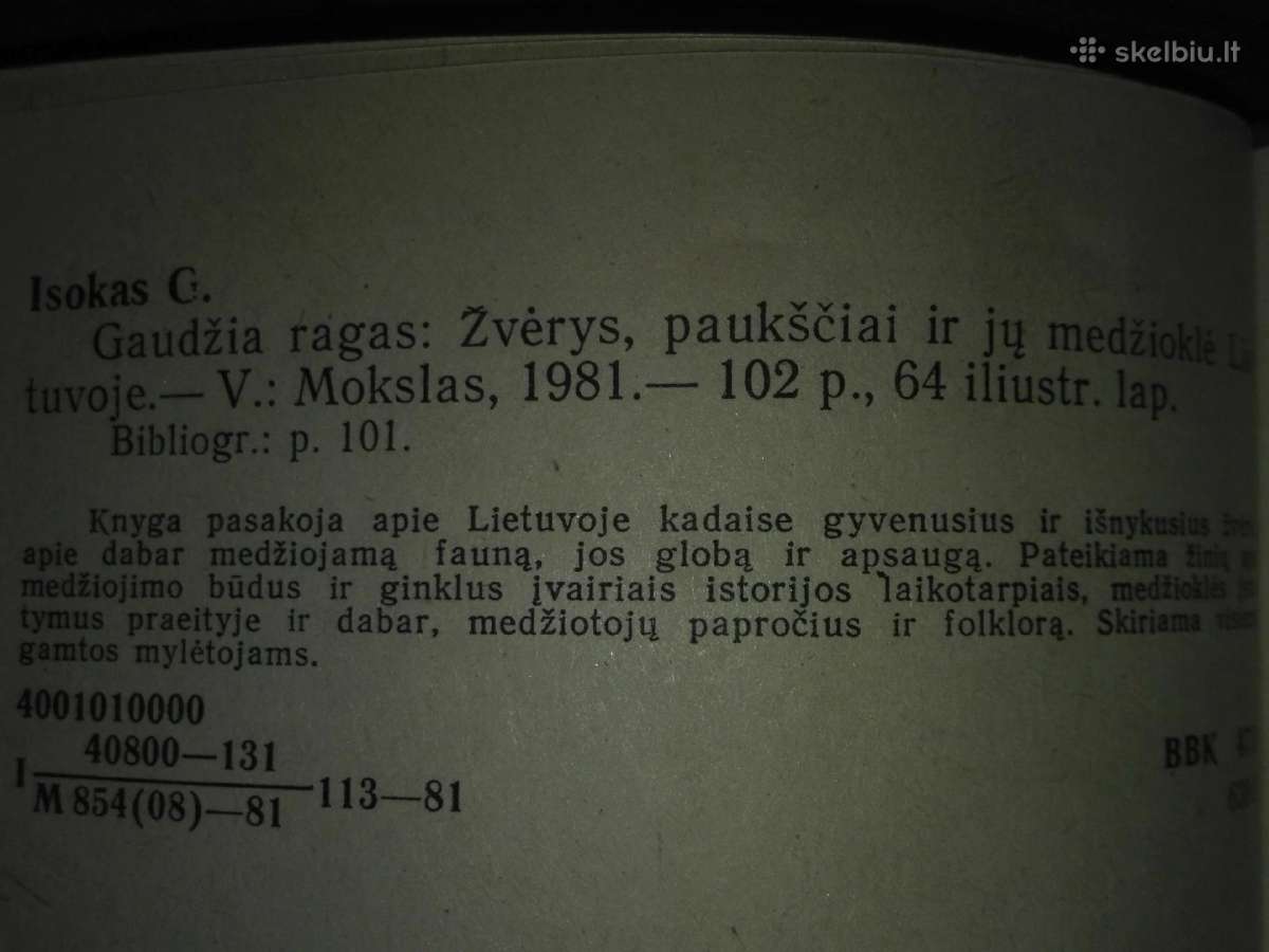 115. Gaudžia Ragas Isokas G. - nuotraukos Nr. 4