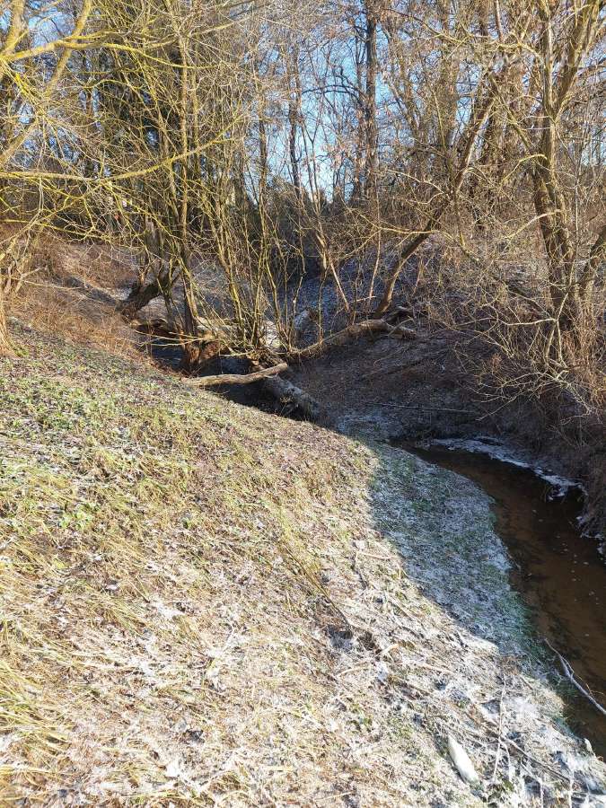 Sklypų valymas,šakų smulkinimas,žolės pjovimas. - nuotraukos Nr. 17