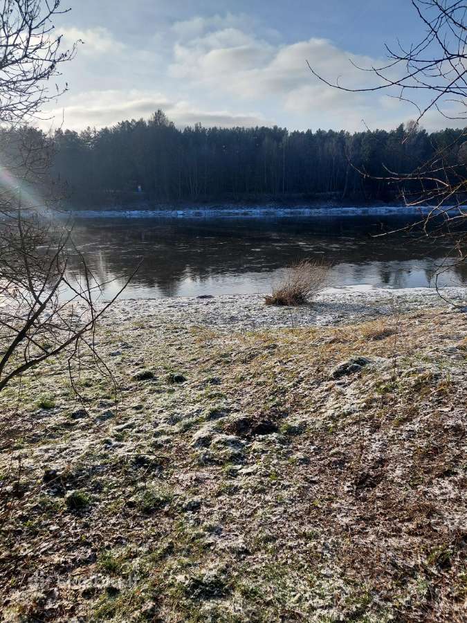 Sklypų valymas,šakų smulkinimas,žolės pjovimas. - nuotraukos Nr. 18