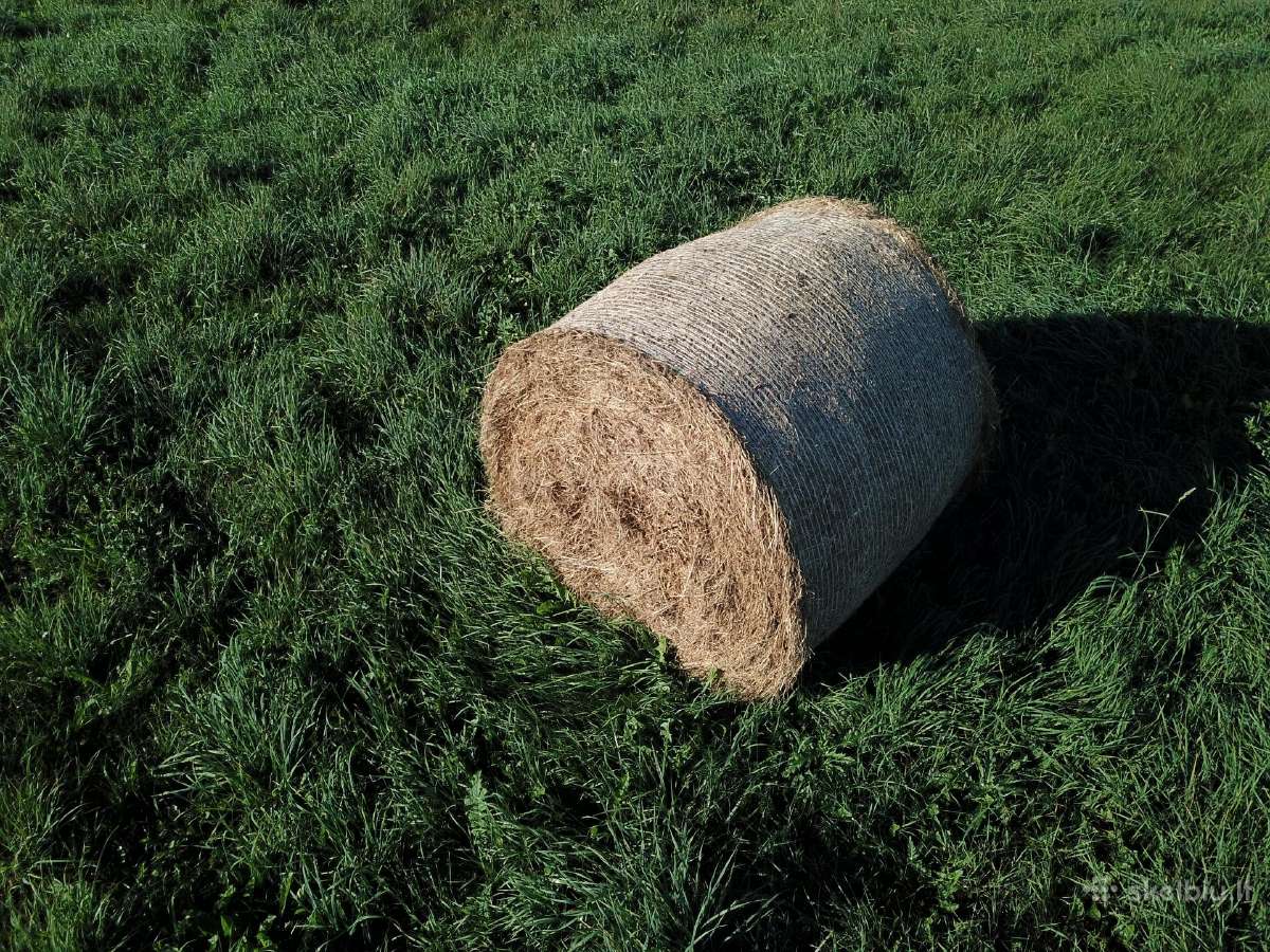 Žolių sėklos mišiniai ir atskirai
