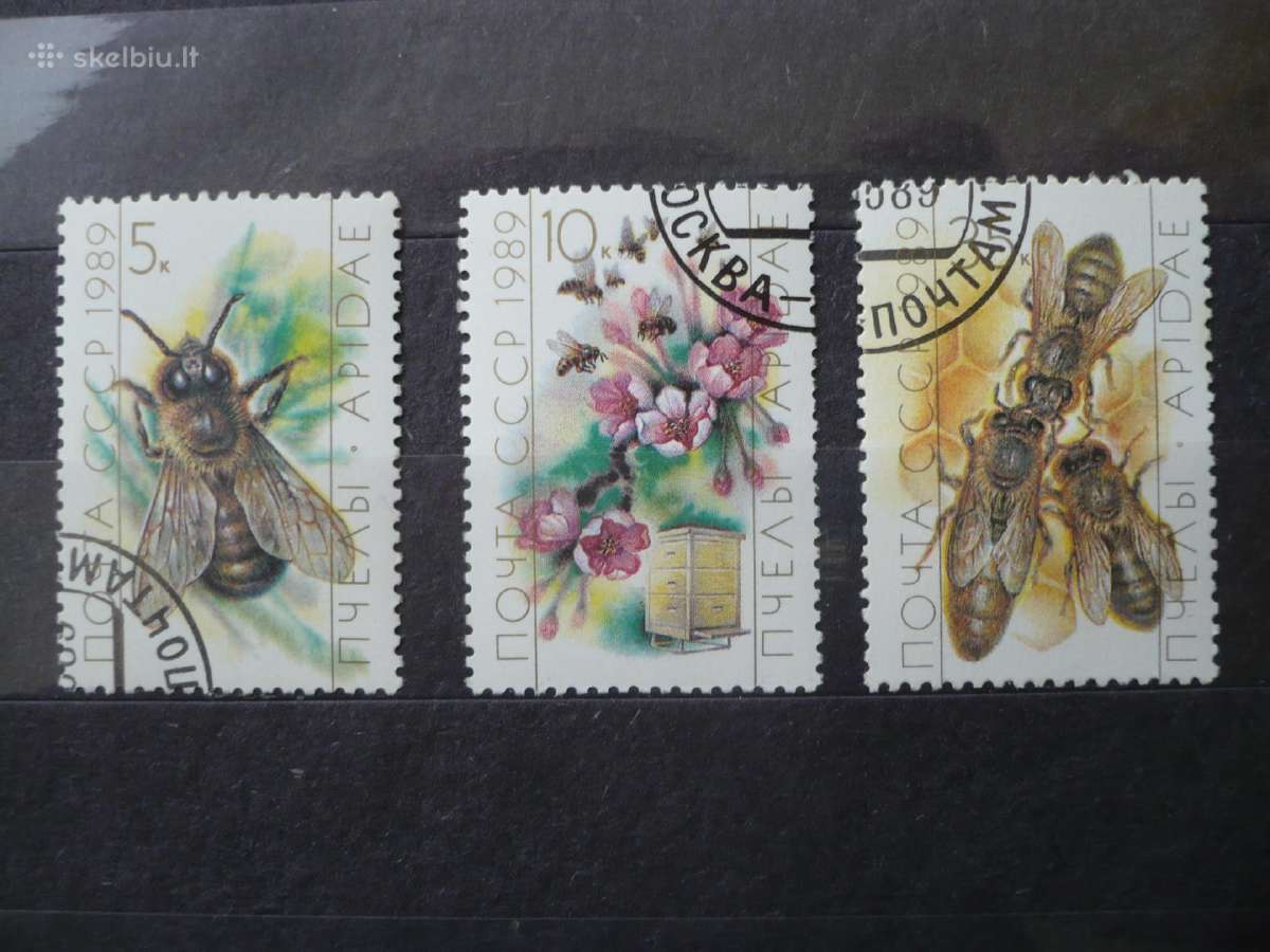 1989 Bitininkystė
