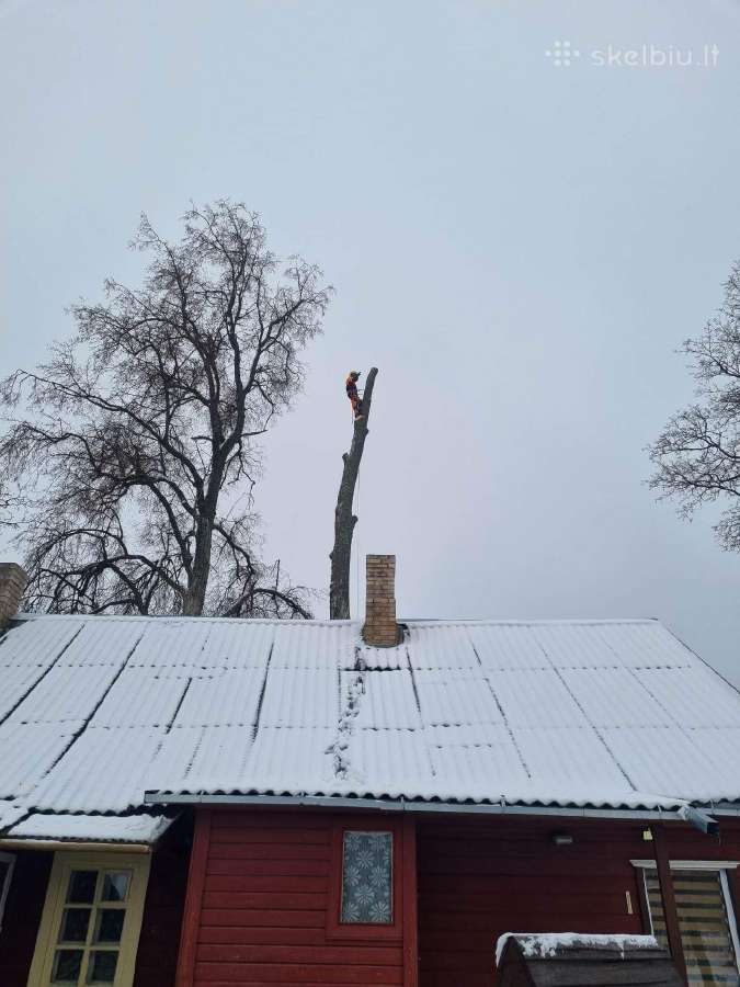 Medžių pjovimas-genėjimas-gyvatvorių karpymas - nuotraukos Nr. 11