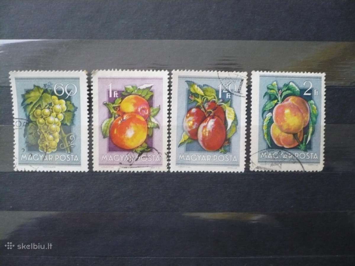 1954 Nacionalinė žemės ūkio mugė