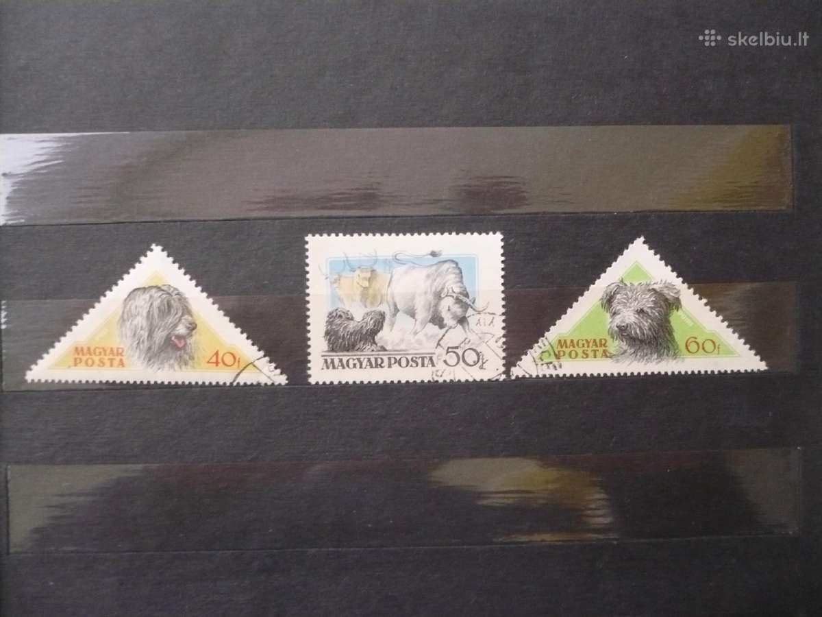 1956 Vengrijos šunys