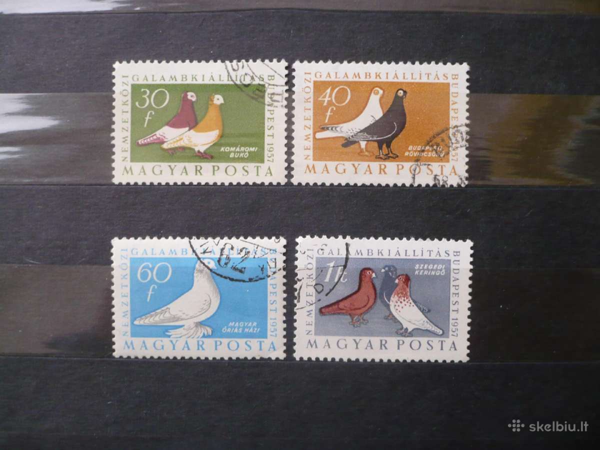 1957 m. paukščiai – tarptautinė balandžių paroda,