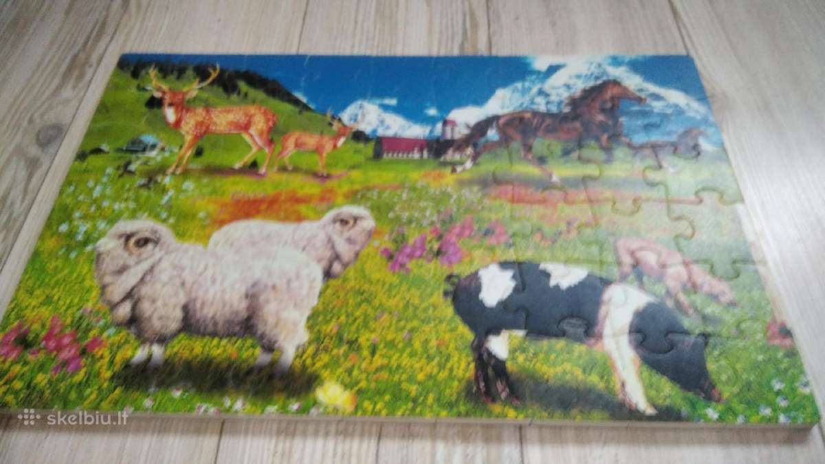 Puzzle - nuotraukos Nr. 2