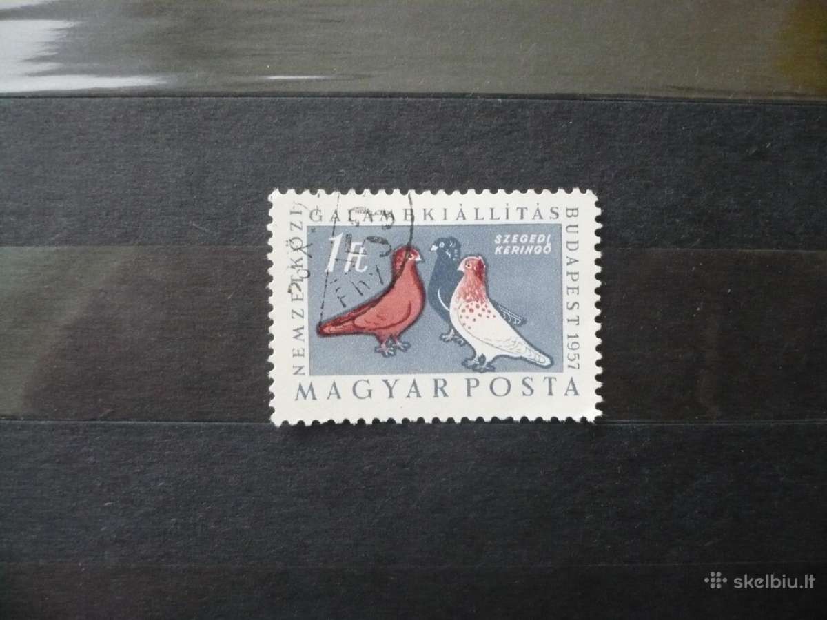 1957 m. paukščiai – tarptautinė balandžių paroda