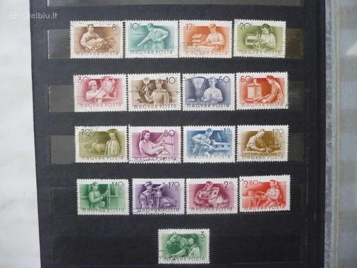1955 m. užsiėmimai