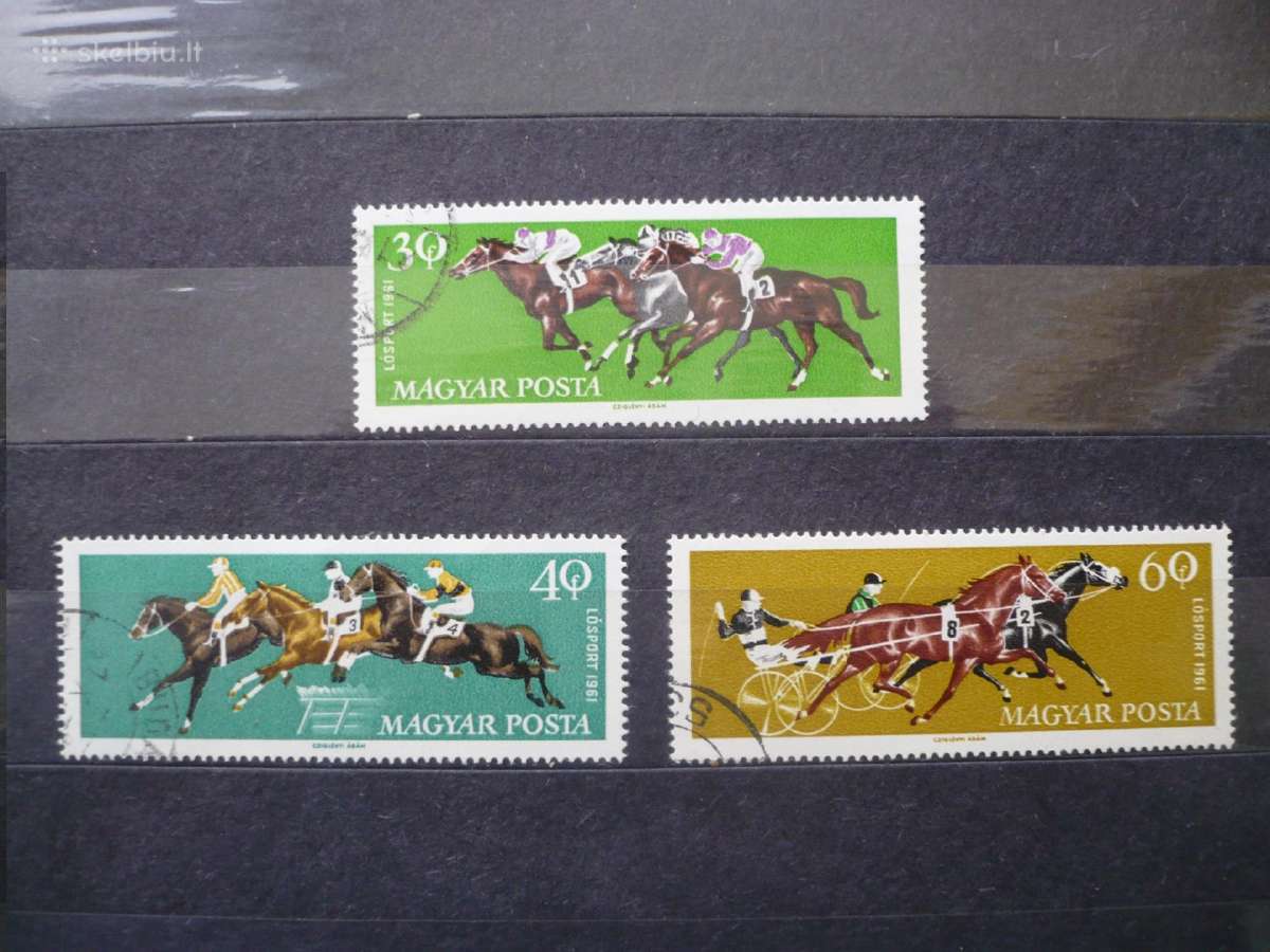 1961 m. žirgų sportas