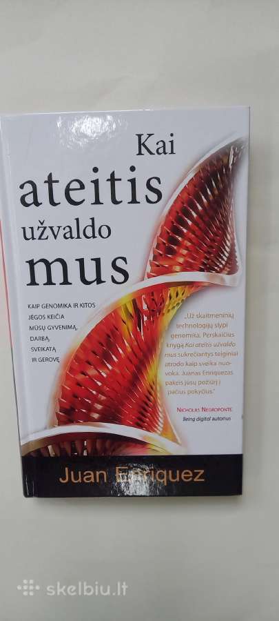 Knyga
