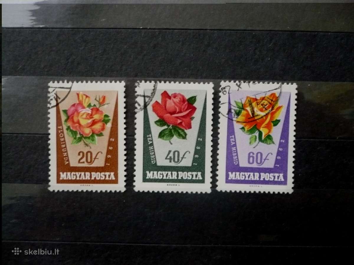 1962 Rožės