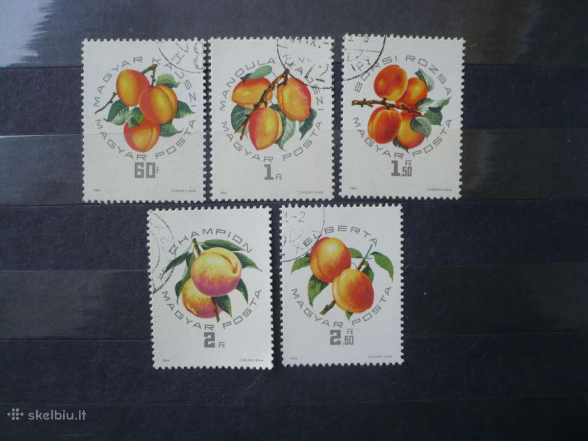 1964 m. vaisiai – nacionalinė persikų paroda